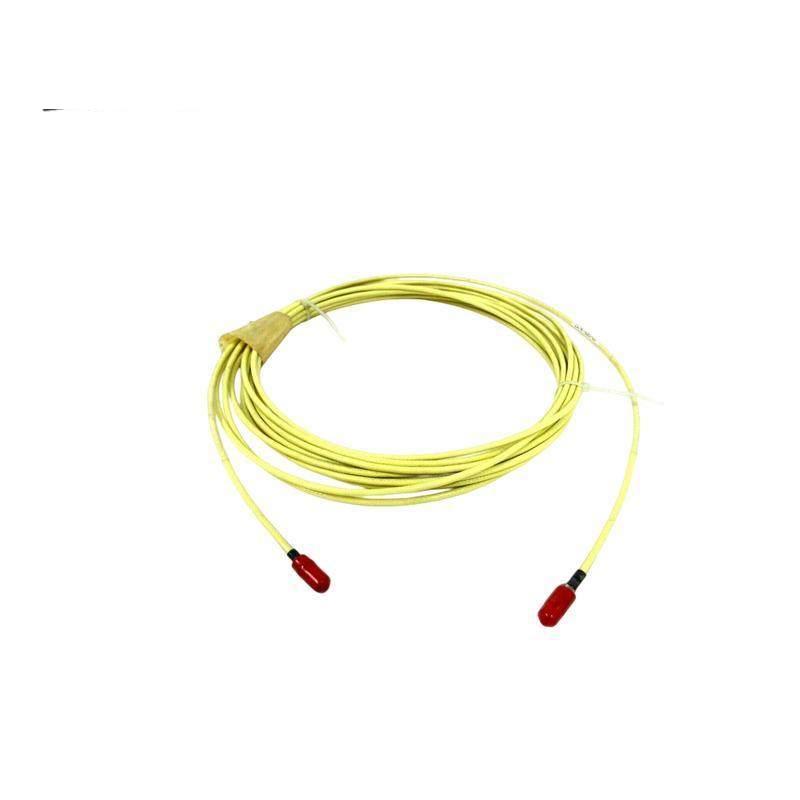 Bently Nevada 21747-080-00 Extension Cable