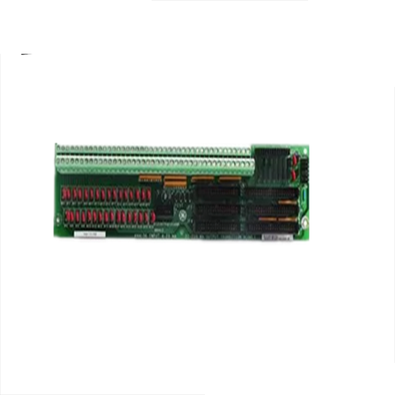 GE DS200TCQAG1ADC Analog Input Module