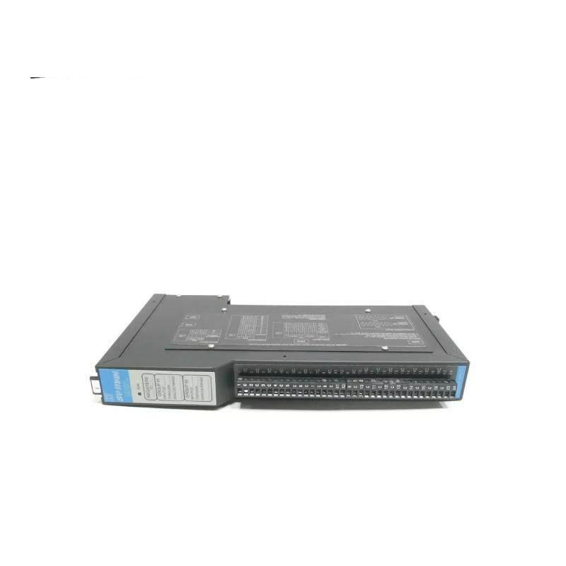 Square D SY/MAX 8030-RIM125 Analog Input