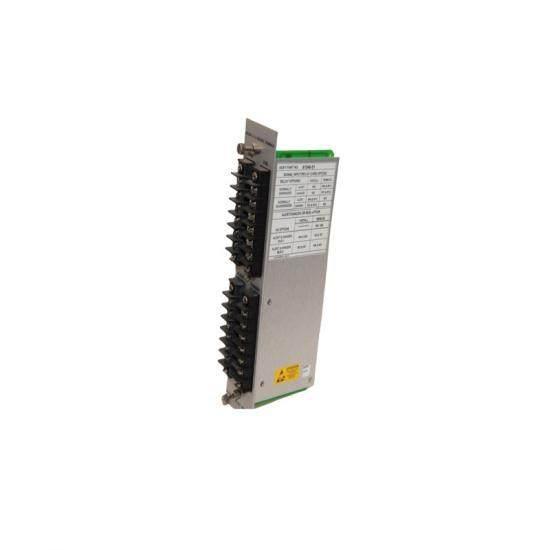 BENTLY NEVADA 81546-01 ASSY79748-01 XDCR I/O RECORD TERMINALS