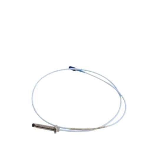 Bently Nevada 330703-000-100-10-02-00