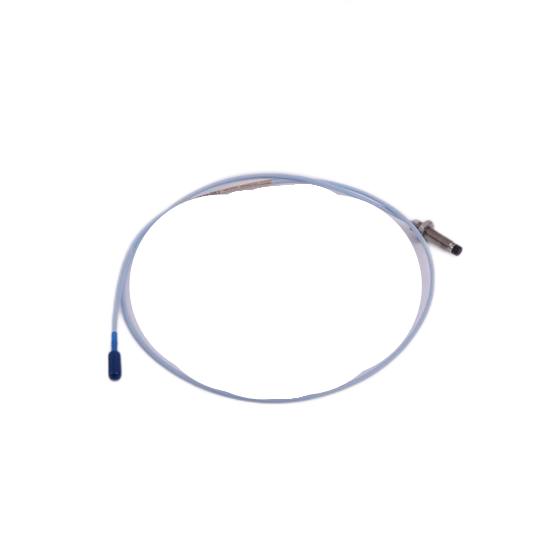 Bently Nevada 21000-16-10-00-256-04-02