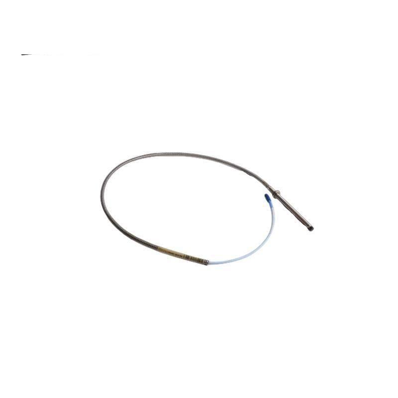 Bently Nevada 21000-16-10-00-044-03-02